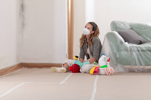 Reliable Mold Testing contractor in Frankfort, KY by WQB Mold Removal